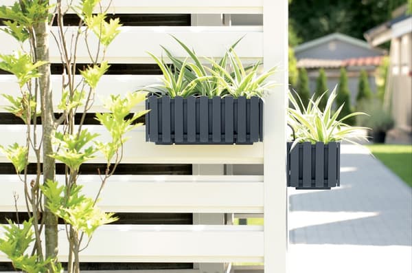 Boardee Fencycase 600W parvekelaatikko | Kivenharmaa