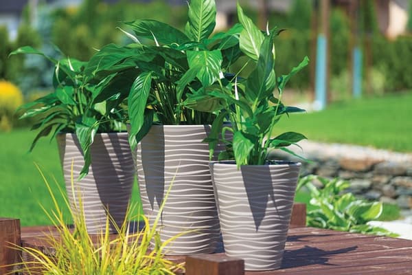 Sahara Dunes Slim 30 runde blomsterpotter | Hvid