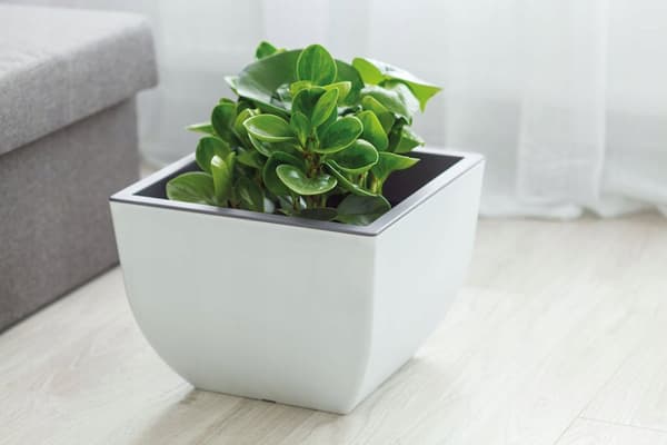 Muna rund blomkruka 35 | Antracit