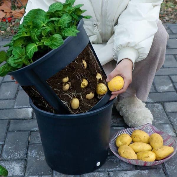 Kartoffeldyrker 400 rund potte