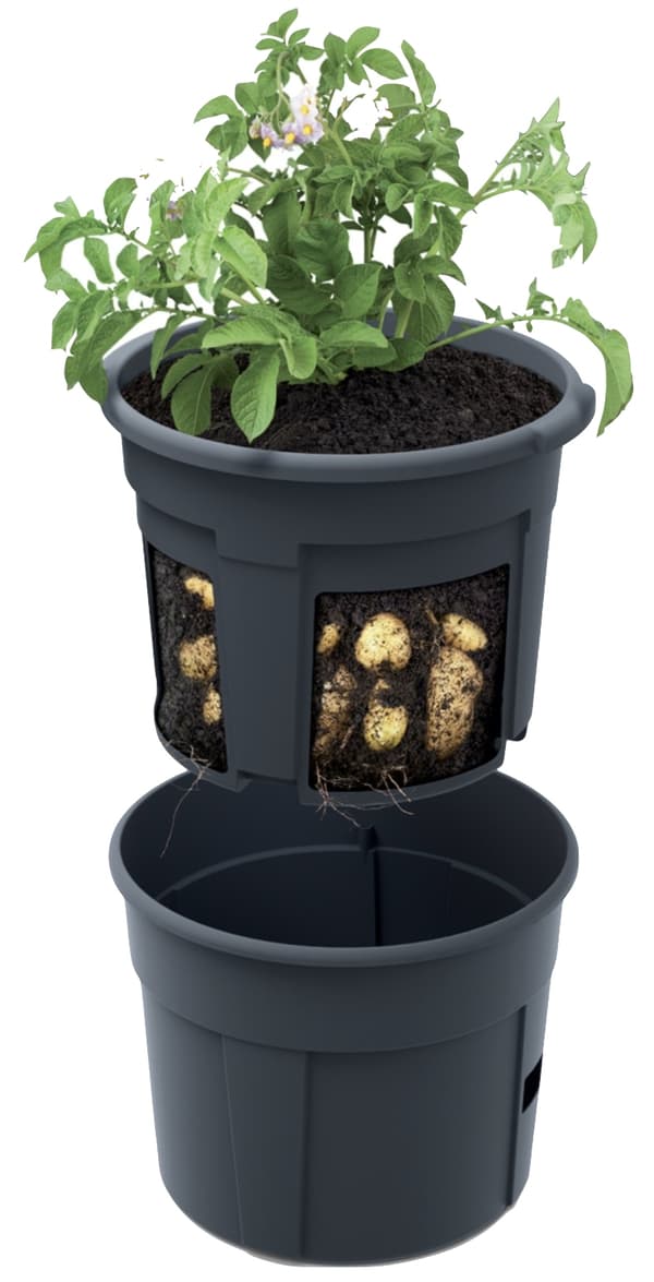 Kartoffeldyrker 400 rund potte