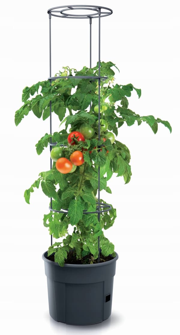 Tomat Grower 400 rund potte