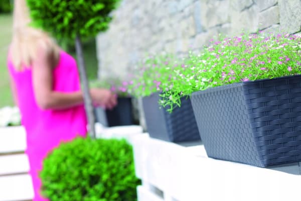 Ratolla altanboks med base ISR700P | Umber