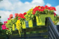 Miniatyrbillede 4 af 7: Wave 60 gelænderblomsterpotte | Terrakotta