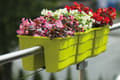 Miniatyrbillede 7 af 7: Wave 60 gelænderblomsterpotte | Terrakotta