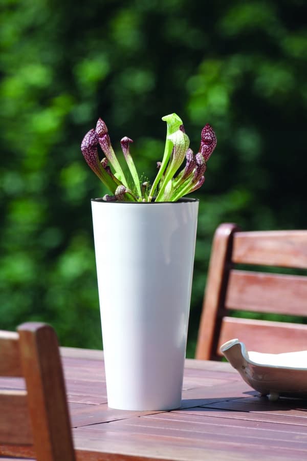 Hög blomkruka Tubus slim shine DTUS200S | Vit