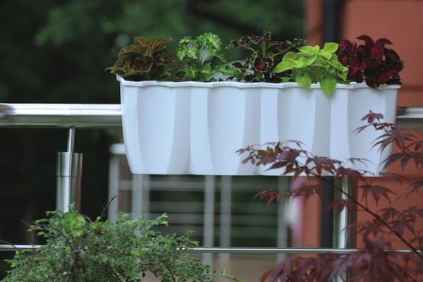 CROWN DCRO600 rækværksblomsterpotte | Hvid