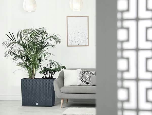 Avlång, hög blomkruka RATO Case DRC600T | Umbra