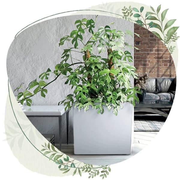 Urbi Case T DUC600T hög blomkruka med insats | Antracit