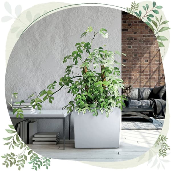 Urbi Case T DUC600T hög blomkruka med insats | Antracit