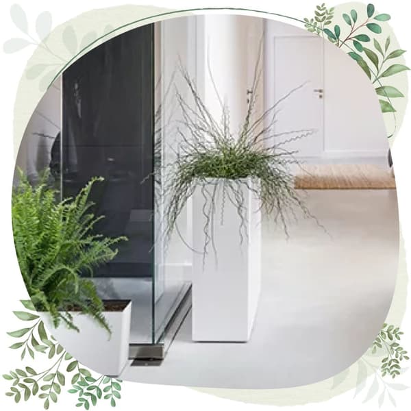 Urbi Case T DUC600T hög blomkruka med insats | Antracit