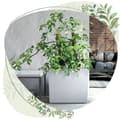Miniatyrbild 4 av 8: Urbi Case T DUC600T hög blomkruka med insats | Vit