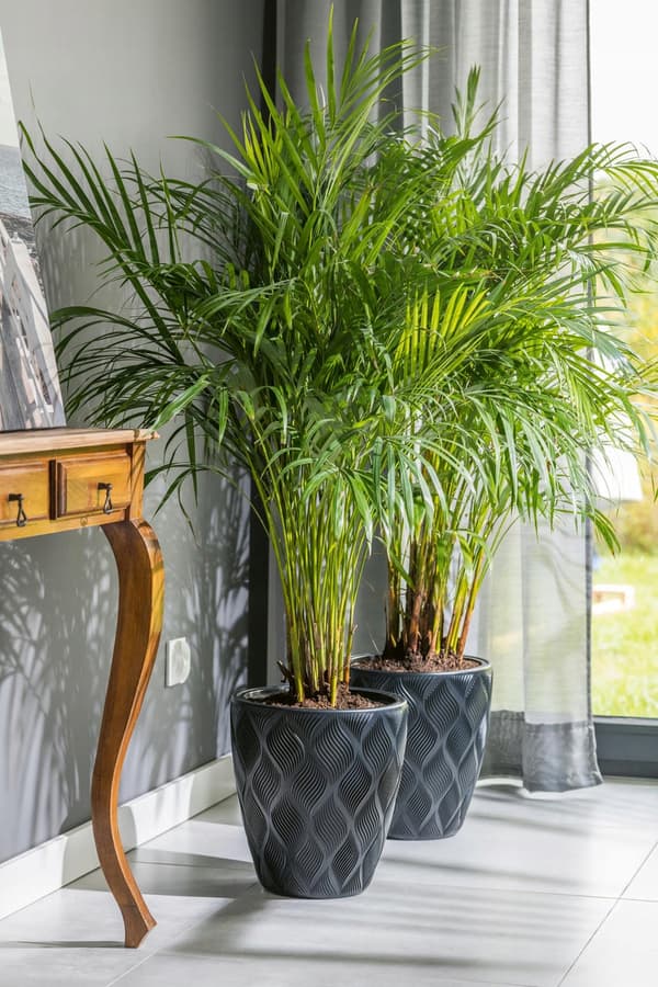 Flow Slim 30 runde blomsterpotter | Dyb sort