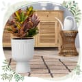 Miniatyrbillede 5 af 7: Keli Mika 30 runde blomsterpotter på ben | Hvid