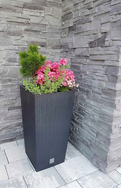 RATO hög blomkruka DRTS240 med insats | Antracit