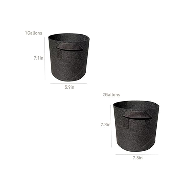 INF 1 Gallon Damplante Potter 8 Stk (14,98x18cm) - Sort