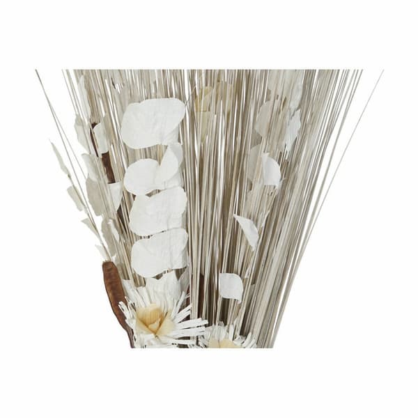 Kimppu DKD Home Decor 8424001847457 Gėlės Luonnollinen Ruskea Valkoinen Kuivakukka (40 x 40 x 150 cm) (2 osaa)