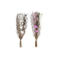 Miniatyrbild 1 av 4: Bunt DKD Home Decor Rosa Brun Vit Torkad blomma (2 antal) (30 x 30 x 65 cm)