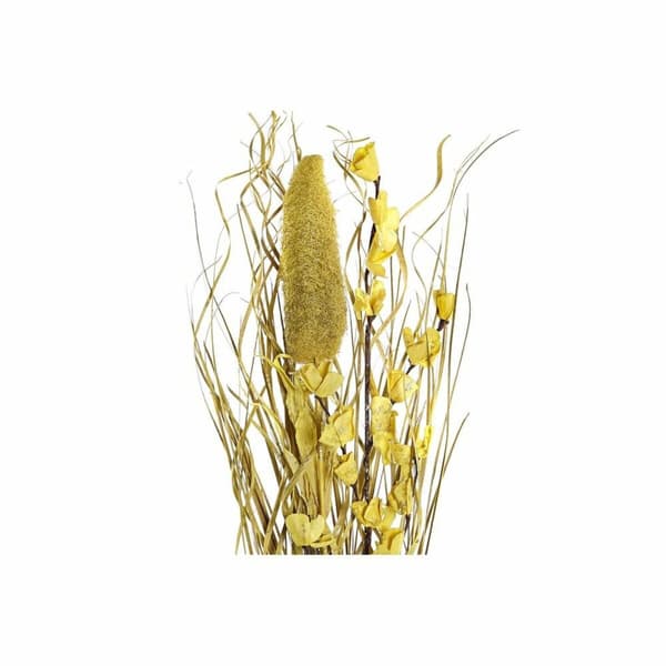 Bunt DKD Home Decor Naturell Gyllene Vit Gul Torkad blomma (30 x 30 x 100 cm) (2 antal)