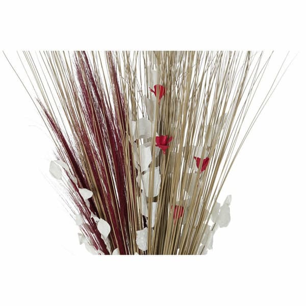 Kimppu DKD Home Decor 8424001847471 Gėlės Luonnollinen Punainen Ruskea Kuivakukka (40 x 40 x 150 cm) (2 osaa)