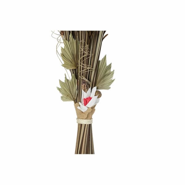 Kimppu DKD Home Decor 8424001847471 Gėlės Luonnollinen Punainen Ruskea Kuivakukka (40 x 40 x 150 cm) (2 osaa)