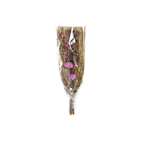 Kimppu DKD Home Decor Pinkki Ruskea Valkoinen Kuivakukka (2 osaa) (30 x 30 x 65 cm)