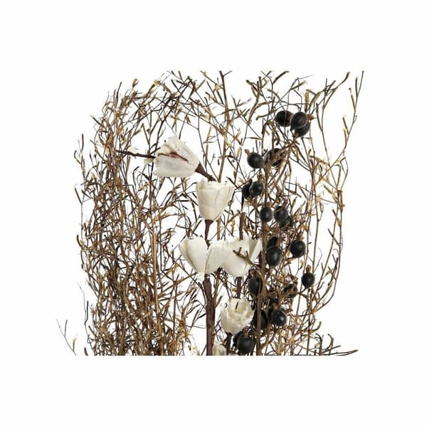 Kimppu DKD Home Decor Pinkki Ruskea Valkoinen Kuivakukka (2 osaa) (30 x 30 x 65 cm)