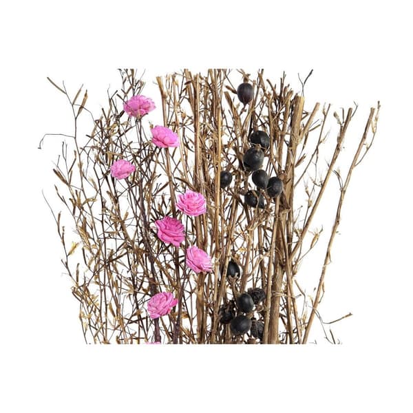 Kimppu DKD Home Decor Pinkki Ruskea Valkoinen Kuivakukka (2 osaa) (30 x 30 x 65 cm)