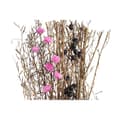 Pikkukuva 2 / 4: Kimppu DKD Home Decor Pinkki Ruskea Valkoinen Kuivakukka (2 osaa) (30 x 30 x 65 cm)