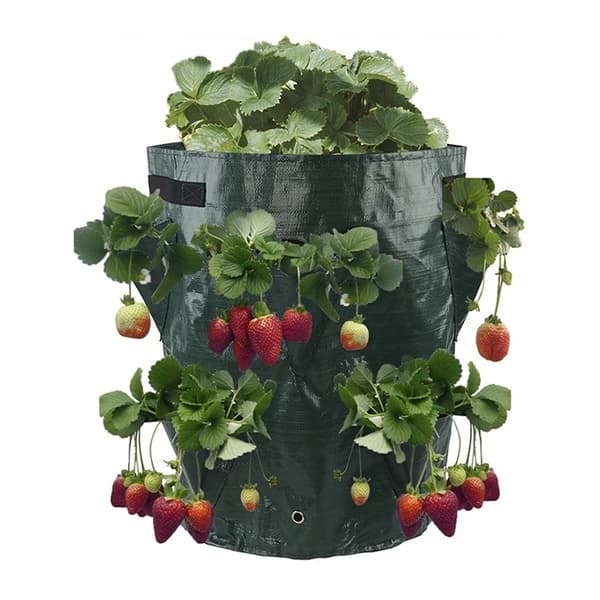 Blomkruka CASCADE Väska väska GRÖNSAKER HÄNGANDE JORDGUBBAR VILDJORDGUBBAR FICKOR