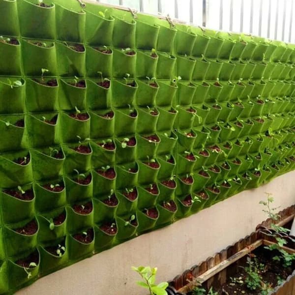 RIPUSTETTAVA HUOPARUUKU Cascade of VEGETES YRTS STRAWBERS Puutarhayrtti 9 paikkaa