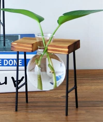 Koristeellinen ruukku LASI PUU Hydroponics JUURISTUSSARJA 1 kpl BAMBU JALUSTA