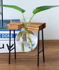 Pikkukuva 6 / 11: Koristeellinen ruukku LASI PUU Hydroponics JUURISTUSSARJA 1 kpl BAMBU JALUSTA
