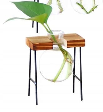 Koristeellinen ruukku LASI PUU Hydroponics JUURISTUSSARJA 1 kpl BAMBU JALUSTA