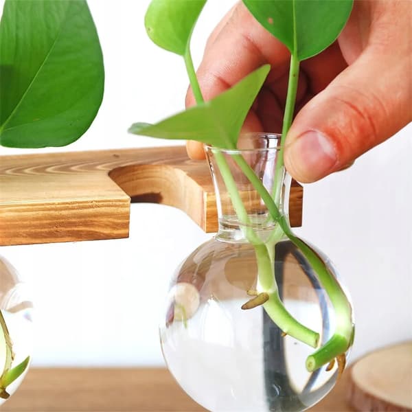 Koristeellinen ruukku LASI PUU Hydroponics JUURISTUSSARJA 1 kpl BAMBU JALUSTA