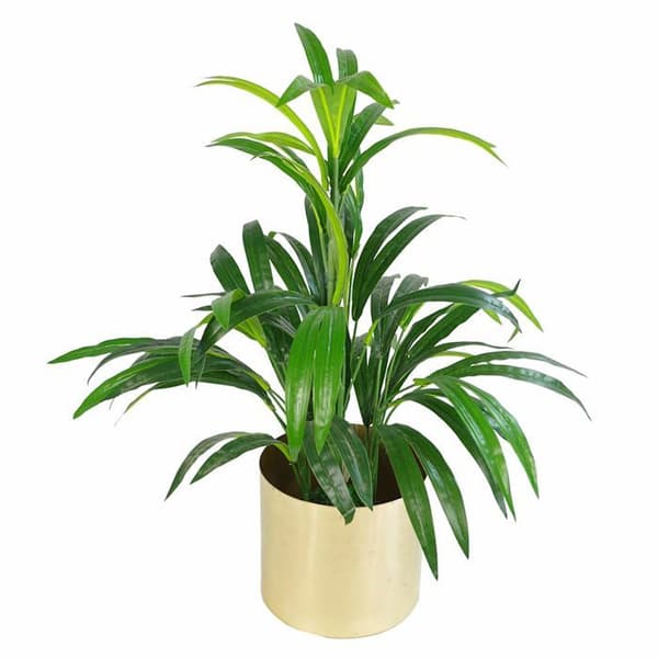 Bladblomkruka - LEAF-7316 - Blomkruka i metall med finish i borstat silver 20 x 18 cm