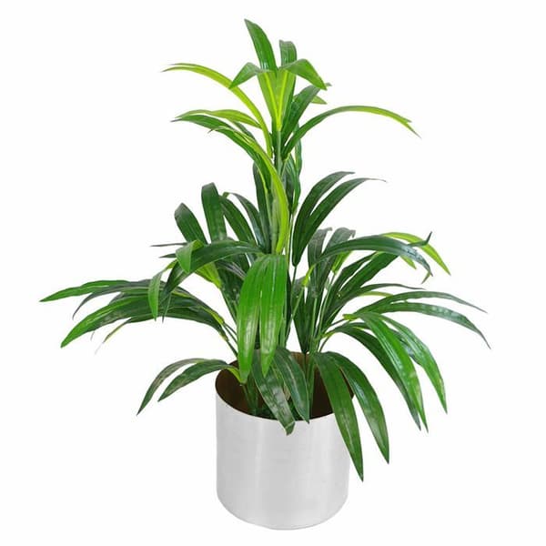 Bladblomkruka - LEAF-7316 - Blomkruka i metall med finish i borstat silver 20 x 18 cm