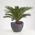 Miniatyrbild 2 av 4: SCHEURICH Wave Globe 250 rotationsgjuten plastkruka - 50 x 37,1 cm - Granitsvart