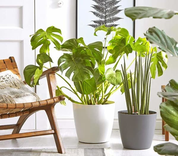 Dehner - 4108270 - Pflanztopf Mila mit Selbstbewässerungs-System, Ø 35 cm, Höhe 30 cm, Kunststoff, vit växtkruka