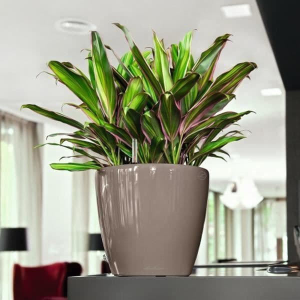 LECHUZA Planteringsmaskin Classico 43 LS ALL-IN-ONE Brilliant Taupe 16085 421474