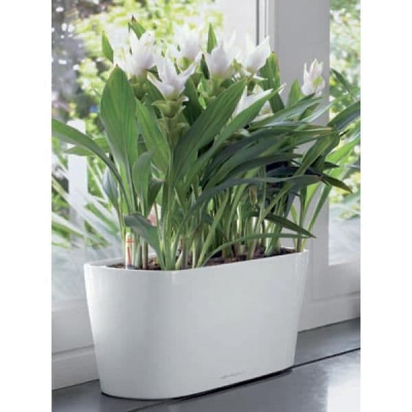 Jardiniär - LECHUZA - Delta 20 - Blank glans - Rektangulär - Med vattenreserv.
