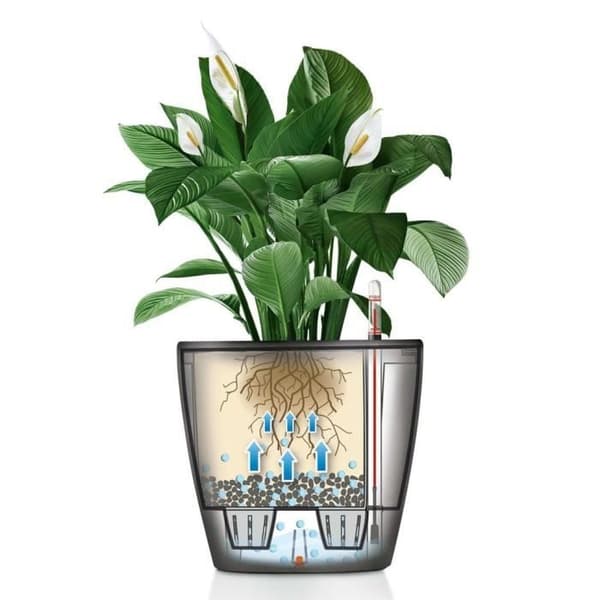 LECHUZA Planteringsmaskin Classico 28 LS ALL-IN-ONE Metalliskt kol 16043 421467