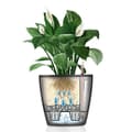 Miniatyrbild 4 av 4: LECHUZA Planteringsmaskin Classico 28 LS ALL-IN-ONE Metalliskt kol 16043 421467