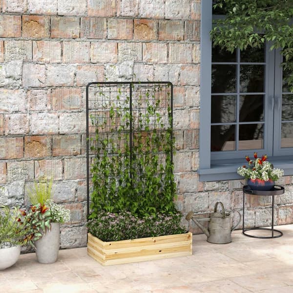 Hævet Havebed med Espalier, 80x38x145 cm, Naturligt Træ
