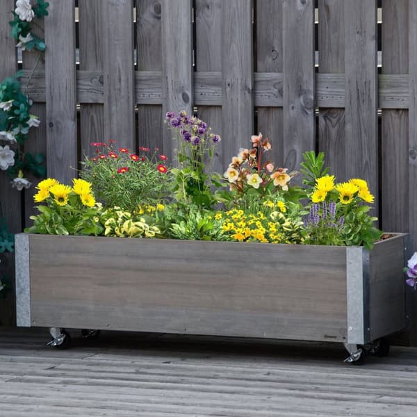Rootz -plante på ruller - rektangulær planter - havearbejdebakke - massivt træ metal - kunstvanding og dræning - 96 cm x 30,6 cm x 30 cm