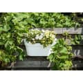 Miniatyrbillede 2 af 2: Plantekasse + krog - GARDEN ID Star - Hvid 50 x 21 cm - Nem at montere - Vandreserve - Genbrugt og 100% genanvendelig