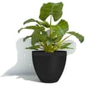 Miniatyrbillede 5 af 5: Urtepotte - GARDEN ID - Green Care Impact Sort-Ant - 50 x 41 cm - 10 års garanti - 100% genanvendt - UV/frostbestandig