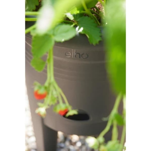 ELHO Green Basics mansikkaruukku 33 - musta - Ø 33 x K 42 cm - ulkoviljelyyn ja sadonkorjuuseen - 100 % kierrätetty