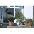 Miniatyrbillede 4 af 6: Elho Vibia Campana Terrasse 80 blomsterkasse - Brun - L 77 x B 35 x H 33 cm - udendørs - 100% genbrugt