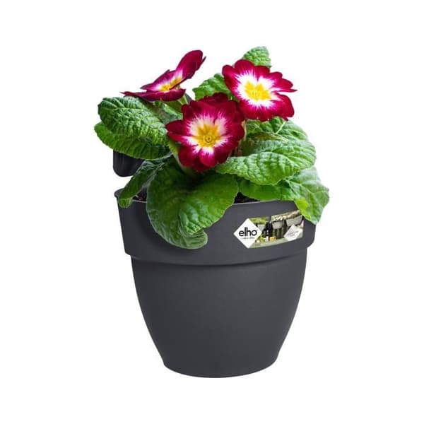 ELHO Vibia Campana Easy Hanger Lille Urtepotte - Antracit - Udendørs Balkon - L 24,1 x B 20,5 x H 26,5 cm